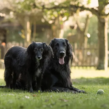 'de Schuif' Berlicum