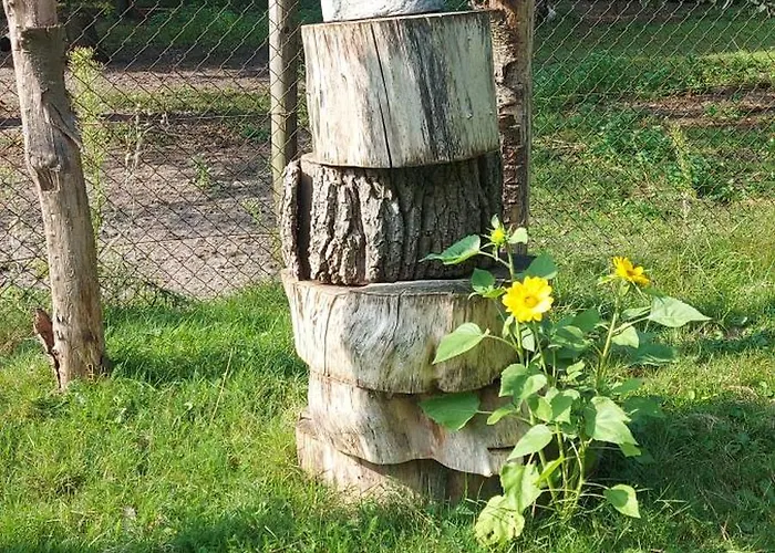 'de Schuif' Holiday home