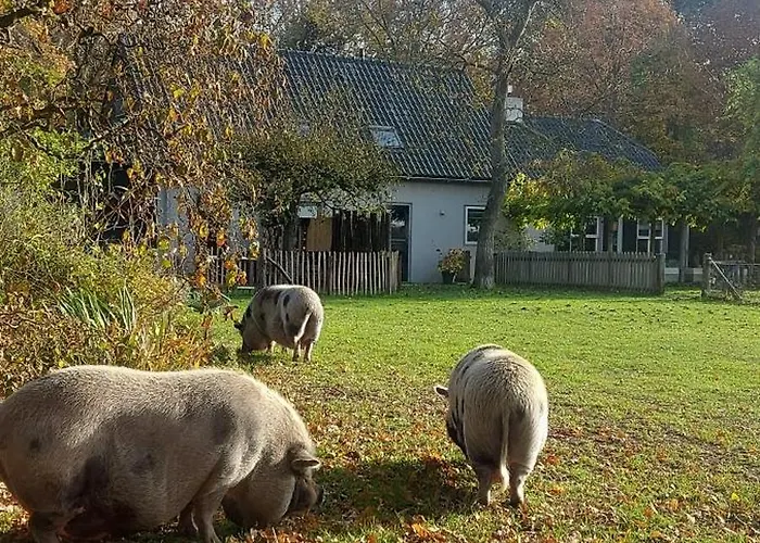 'de Schuif' Holiday home