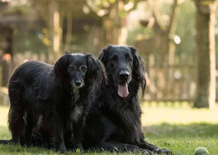 'de Schuif' Berlicum