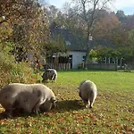 'de Schuif' Holiday home